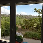 A Casa Do San Paio De Buscas