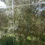 A Casa Do San Paio De Buscas Gasthuis