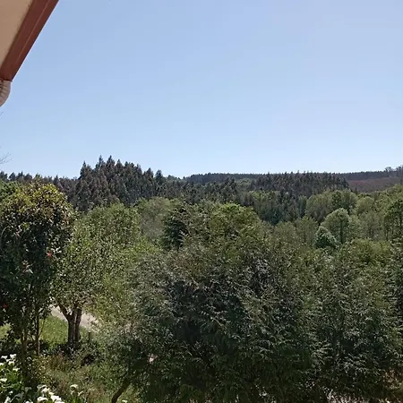 Homestay A Casa Do San Paio De Buscas *