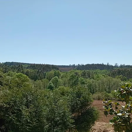 A Casa Do San Paio De Buscas Ordes