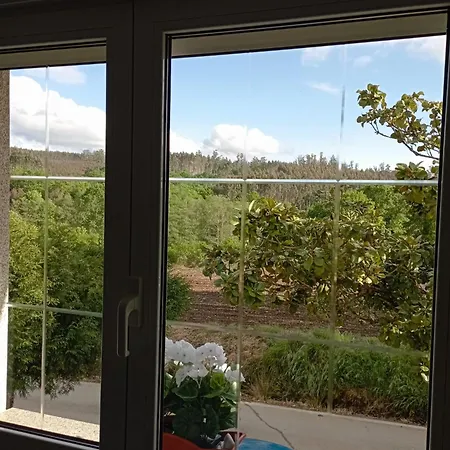 A Casa Do San Paio De Buscas