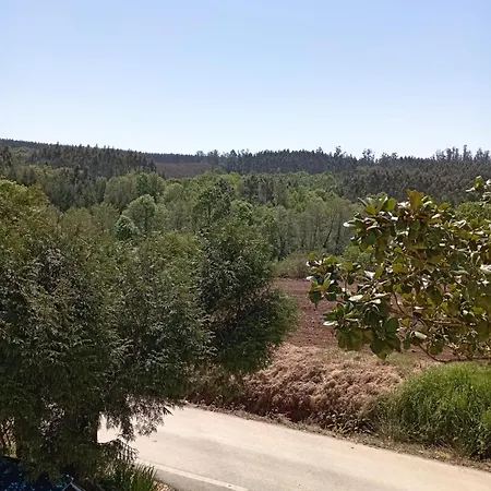 Affittacamere A Casa Do San Paio De Buscás