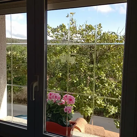 A Casa Do San Paio De Buscas Homestay Ordes