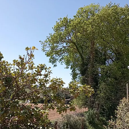 A Casa Do San Paio De Buscás