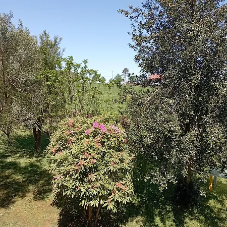 A Casa Do San Paio De Buscas Homestay *