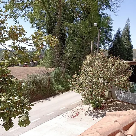 A Casa Do San Paio De Buscas Gasthuis