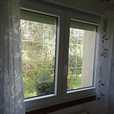 A Casa Do San Paio De Buscas