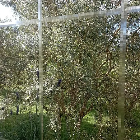 A Casa Do San Paio De Buscas ゲストハウス