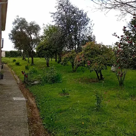 A Casa Do San Paio De Buscás