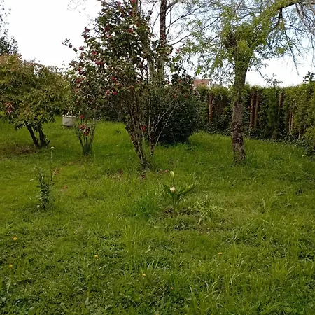 Affittacamere A Casa Do San Paio De Buscás