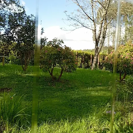 A Casa Do San Paio De Buscás Affittacamere *