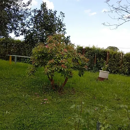 Affittacamere A Casa Do San Paio De Buscás *