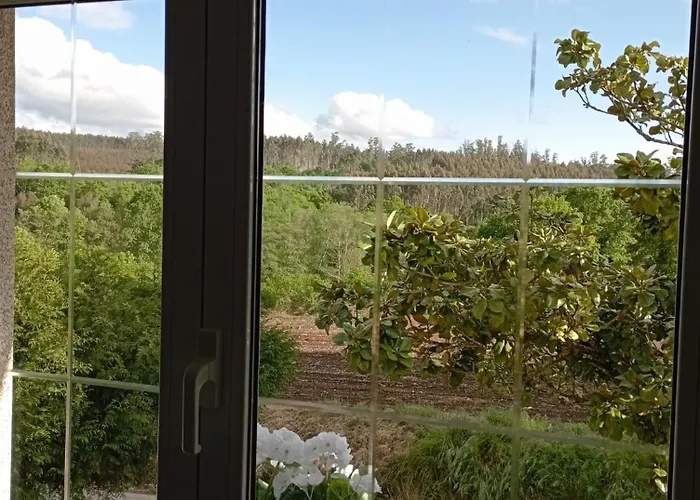 A Casa Do San Paio De Buscas