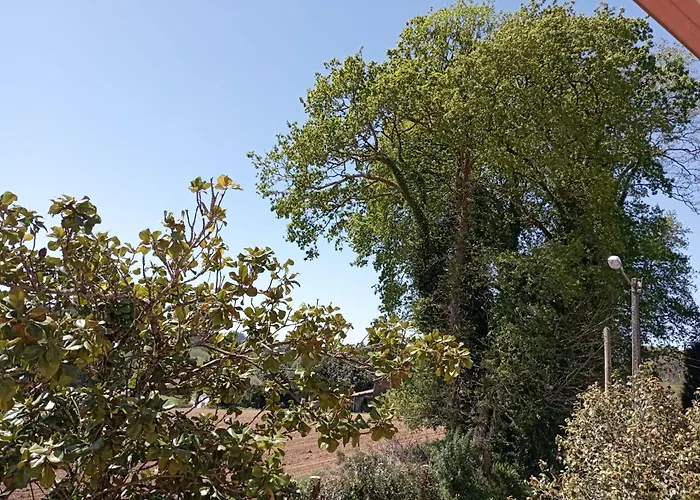 A Casa Do San Paio De Buscas