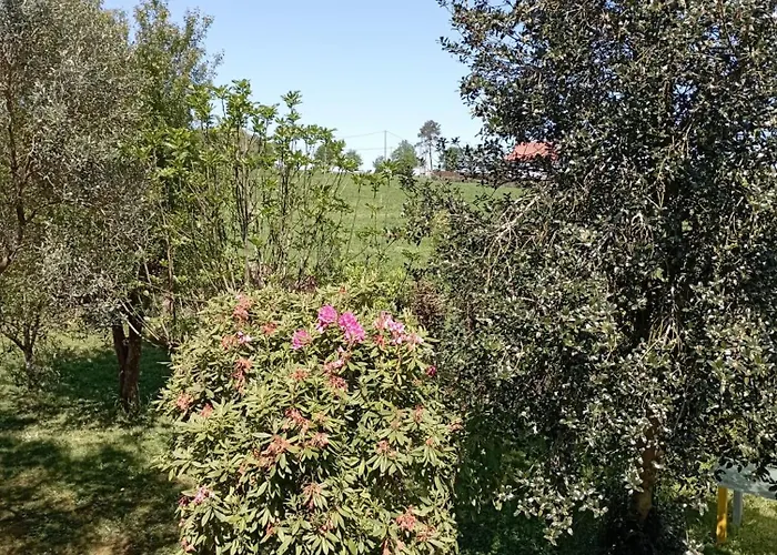 A Casa Do San Paio De Buscas Pensjonat *