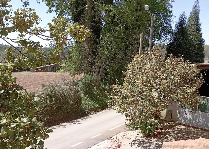 A Casa Do San Paio De Buscas Pensjonat