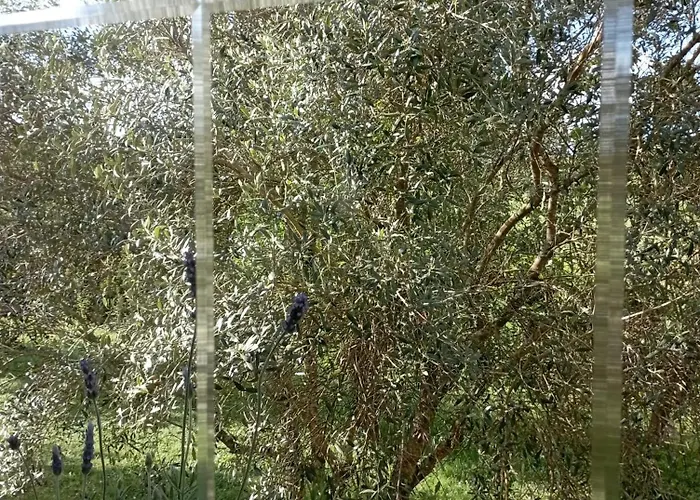 A Casa Do San Paio De Buscas Pensjonat