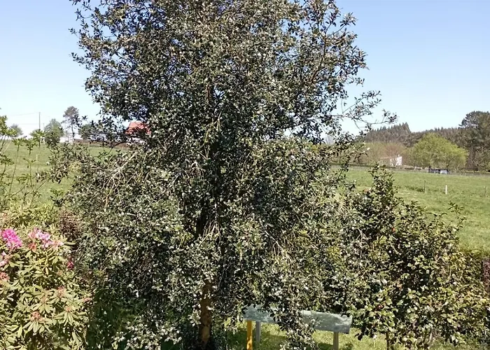 A Casa Do San Paio De Buscas Gasthuis Ordes