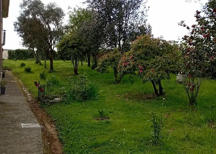A Casa Do San Paio De Buscás