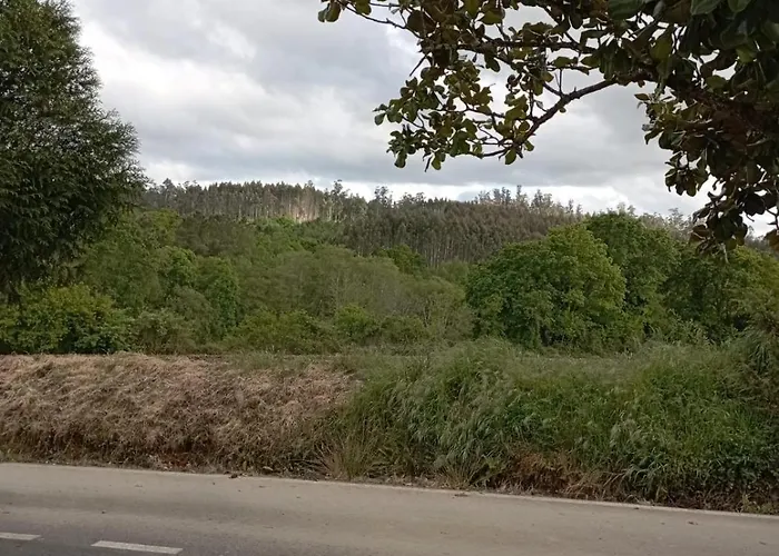 A Casa Do San Paio De Buscas *