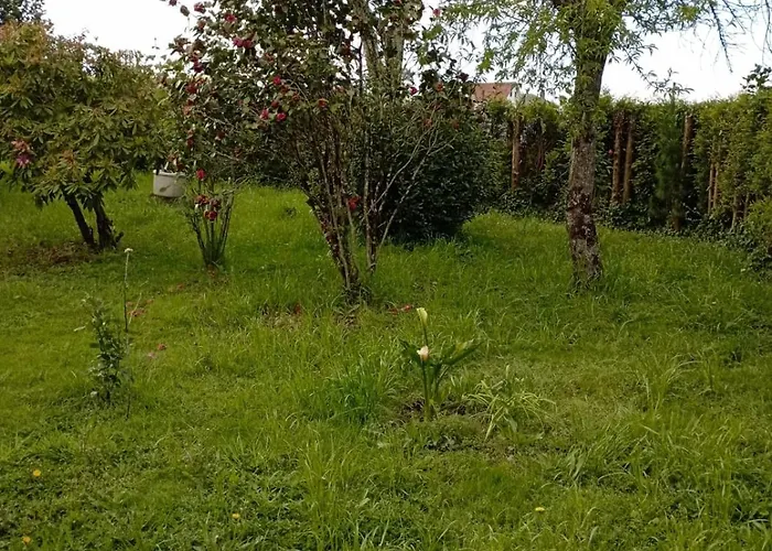 Pensjonat A Casa Do San Paio De Buscas