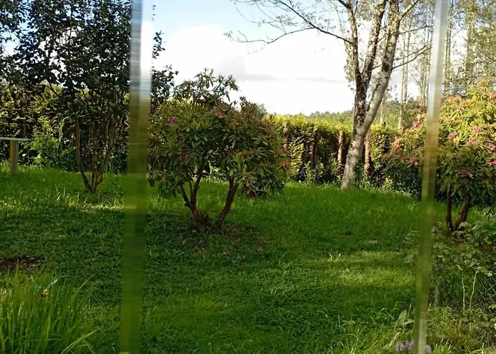 A Casa Do San Paio De Buscas Pensjonat *