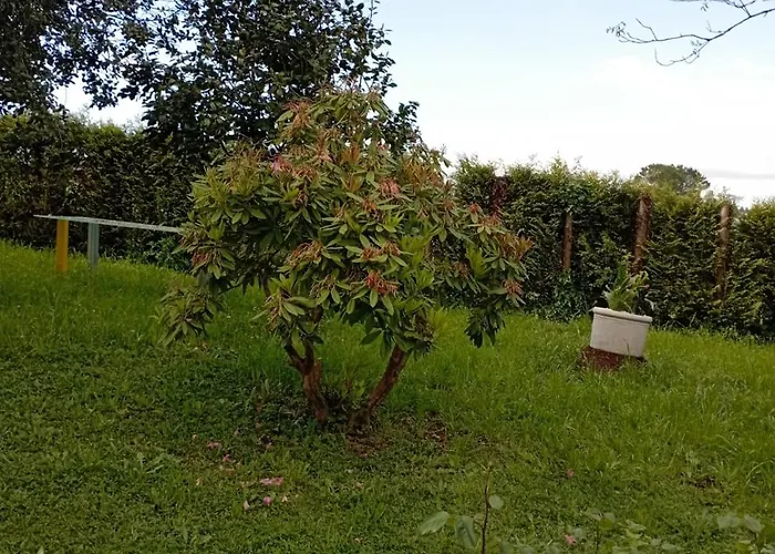 Pensjonat A Casa Do San Paio De Buscas *